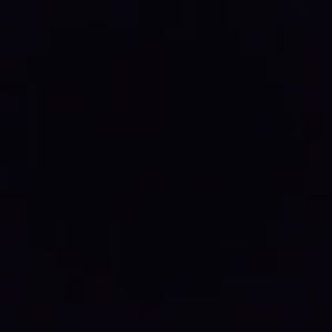 Meet your Posher, Riley